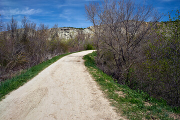 Galacho de Juslibol, unique and singular ecosystem, a protected natural area located next to the Ebro river.