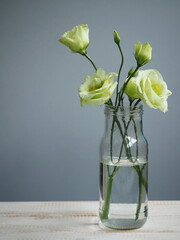 Bouquet of white eustoma flowers in vase
