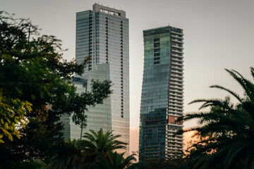 skyscrapers at sunset Brickell miami usa palms 