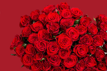 Obraz na płótnie Canvas Red roses in a huge beautiful bouquet