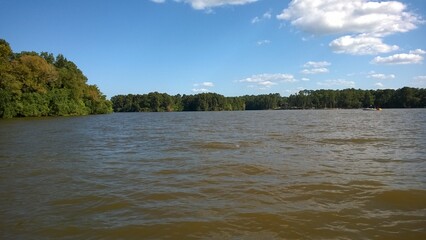 lake surrounded of forest