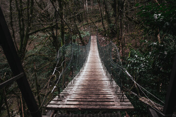 Obraz premium wooden bridge in the forest