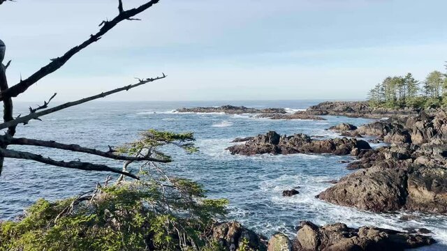 Wild Pacific Trail 002