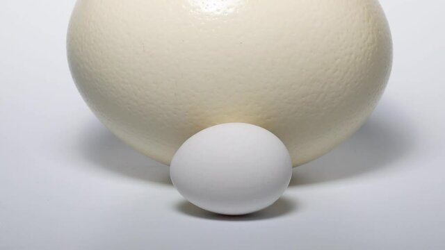 Fresh chicken egg and ostrich egg together close up