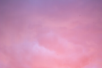 Pink color smooth background, valentines day concept.