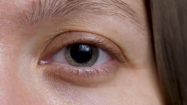 Gray and blue area surrounding pupil is iris. Woman's eyes. Wrinkle around eye is fold, ridge or crease on skin. Cosmetology and skincare