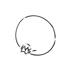 fruit pomegranate set hand drawn vector illustration realistic sketch. garnet vector sketch illustration