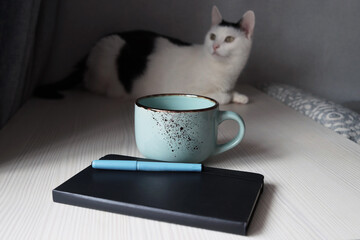 Black and white funny cat interferes with studying, lying on the table. Large blue ceramic cup,...