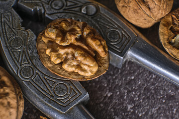 Vintage walnut cracker and walnuts on a dark texture background.