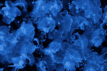 Blue ink and watercolor frost texture on white paper background. Paint leaks and decalcomania effects. Hand-painted gouache abstract image. Mess on the canvas.