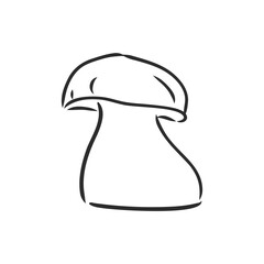 vector hand drawing of wild mushrooms. forest white mushroom vector sketch illustration