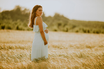 Young pregnant woman in white dress relaxing outside in nature