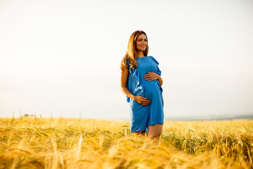 Young pregnant woman in blue dress relaxing outside in nature