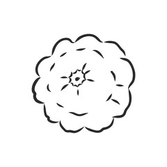 Vector illustration doodle sketch hand-drawn patisson. Isolated on white background. The concept of harvesting. Vintage retro style. Yellow ripe large squash. patisson, vector sketch illustration