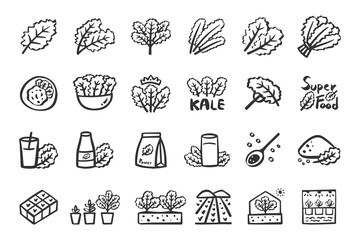Kale icon set superfood vegetable hand drawn icons