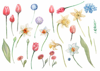 
Irises flowers spring blooming. hand drawn watercolor illustration Print textile postcard background sketch doodle background greeting card
seamless pattern