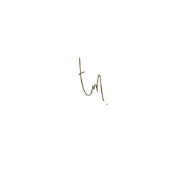 TM initial handwritten calligraphy, for monogram and logo