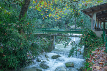 waterfall in the forest
