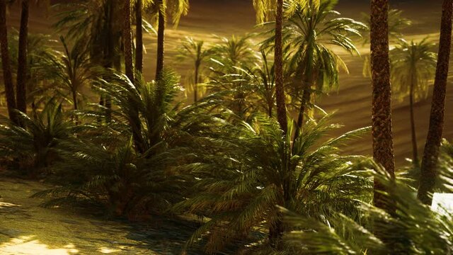 oasis with palm trees in desert