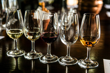 Wine tasting in South Africa