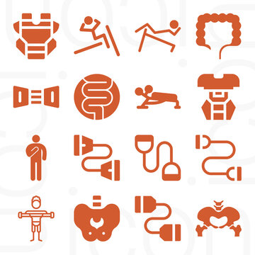 16 pack of abdominal  filled web icons set