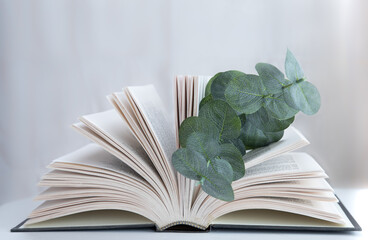 open book with eucalyptus branch