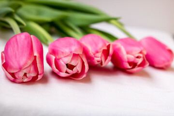 Five pink tulips with green leaves on a white background