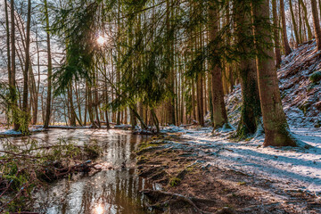 snow-covered forest, winter landscape.