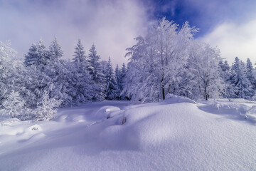 Obraz premium Sunny snowy landscape