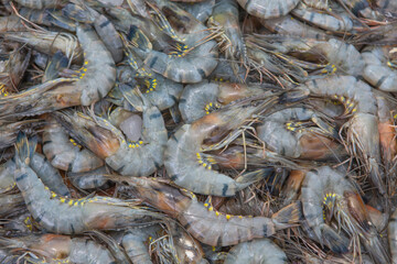 fresh shrimps on a market stall in Colombo City, Sri Lanka