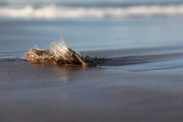Plastikmüll am Nordsee Strand in Dänemark