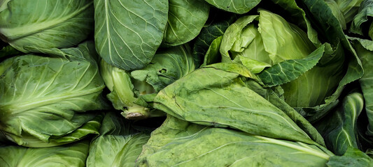 Cardboard box full of tomatoes.healthy food concept.