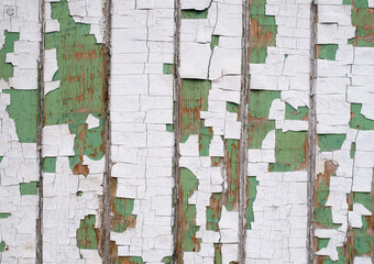 Old green and white painted wooden wall  with many cracks close