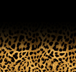 Seamless leopard pattern, leopard texture, animal print