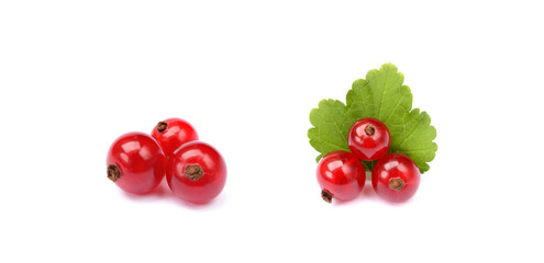  Fresh red currant isolated on white background