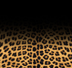 Seamless leopard pattern, leopard texture, animal print