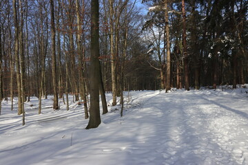 Traumhafte Winterlandschaft