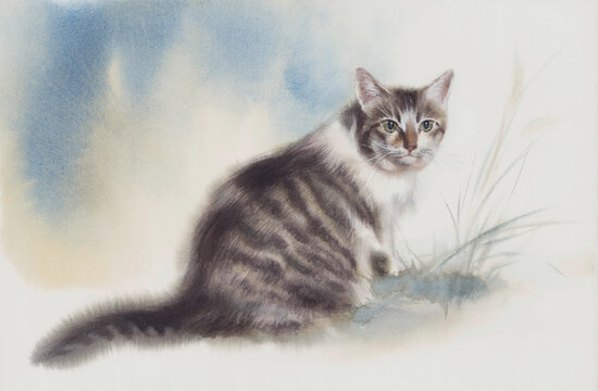 Tabby cat on blue and white watercolor background