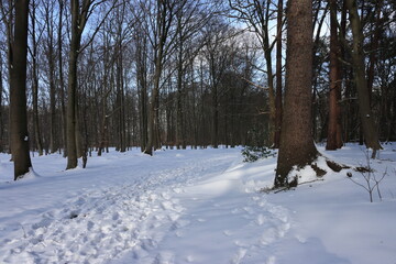 Traumhafte Winterlandschaft