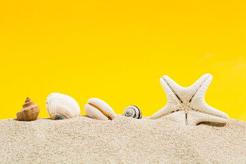 Sea shells and sea star on sand with yellow background with copy space