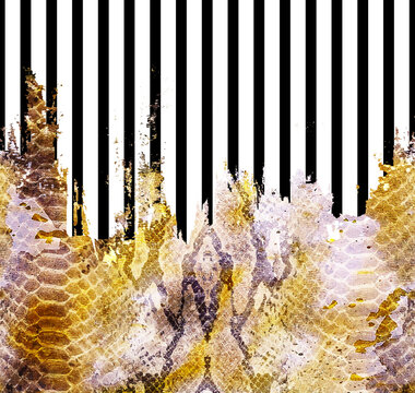 Snake texture with lines