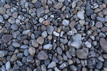 Kies Strand and der Ostsee im Schatten in Deutschland
