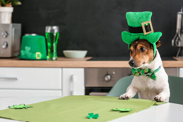 Cute dog with green hat at home. St. Patrick's Day celebration