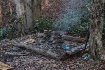 campfire in the forest in autumn