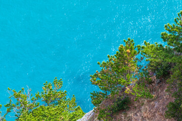 Fototapeta na wymiar Coastal landscape. Pine trees and blue sea water