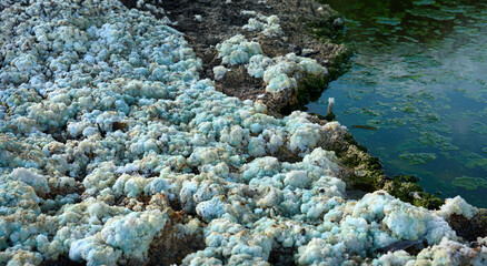 Crystals of iron sulfate, toxic waste near abandoned pyrite mine