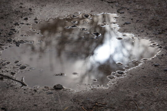Reflection in water puddle 