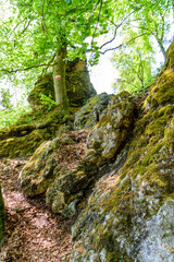 Naturerlebnis Waldbaden bei einer Wandertour auf dem Jägersteig im Naturpark Altmühltal, gesund und erholsam