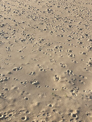 Footprints