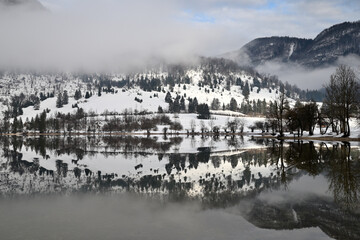 Morning fog on lake Bohinj, Slovenia